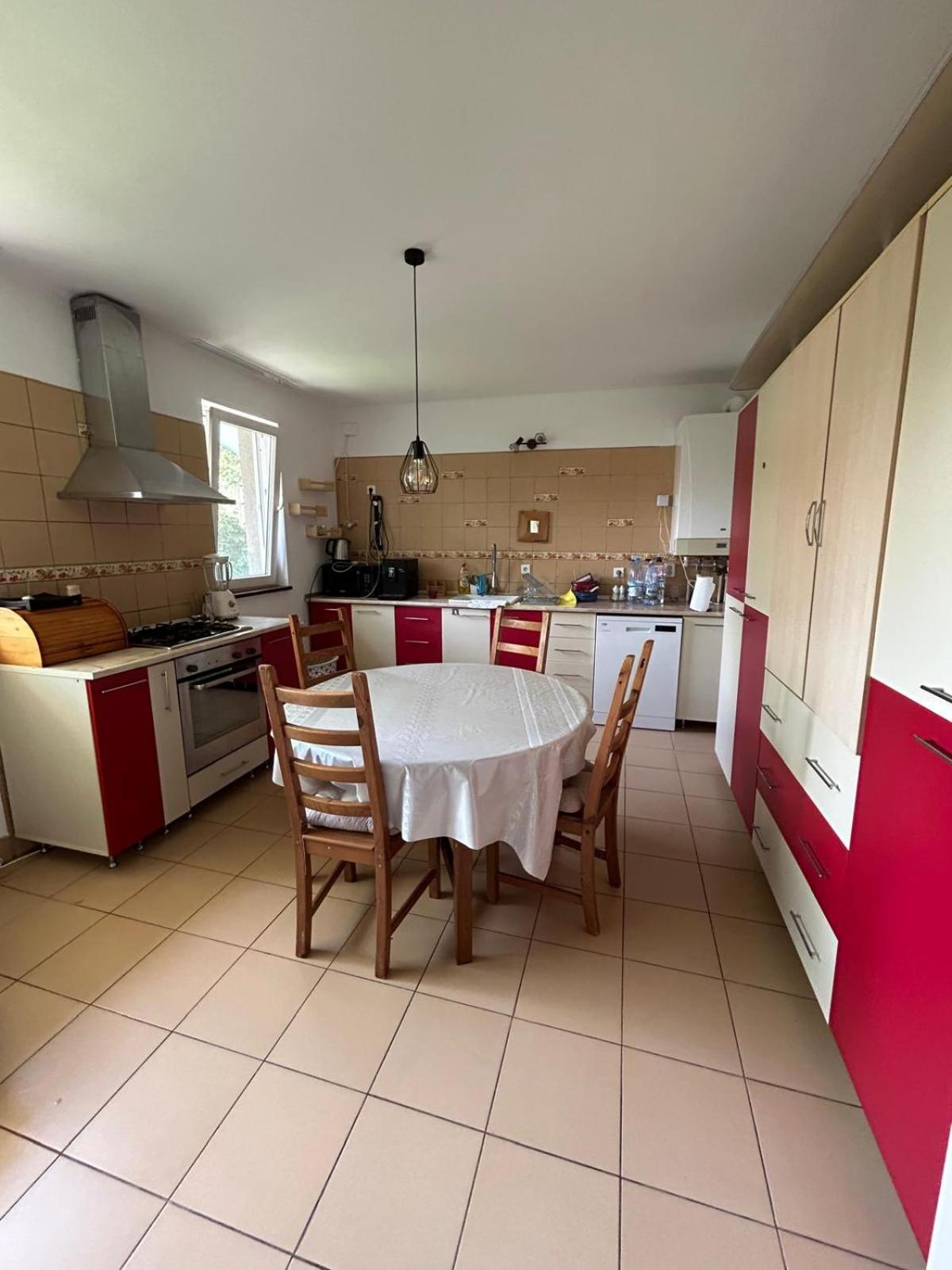 Vila De Inchiriat Aproape De Therme באלוטשטי מראה חיצוני תמונה