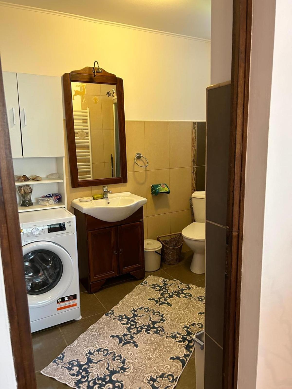 Vila De Inchiriat Aproape De Therme באלוטשטי מראה חיצוני תמונה
