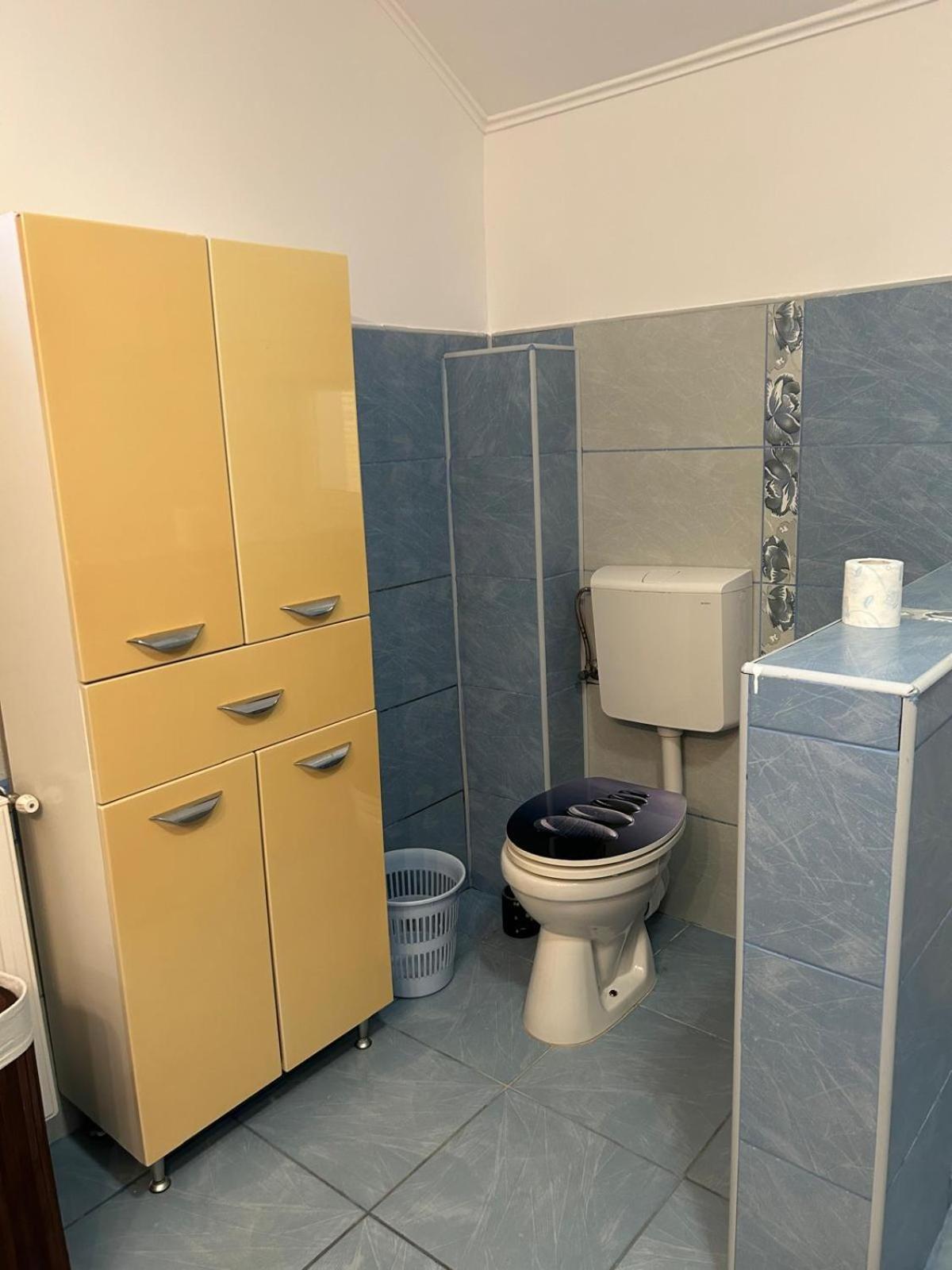 Vila De Inchiriat Aproape De Therme באלוטשטי מראה חיצוני תמונה