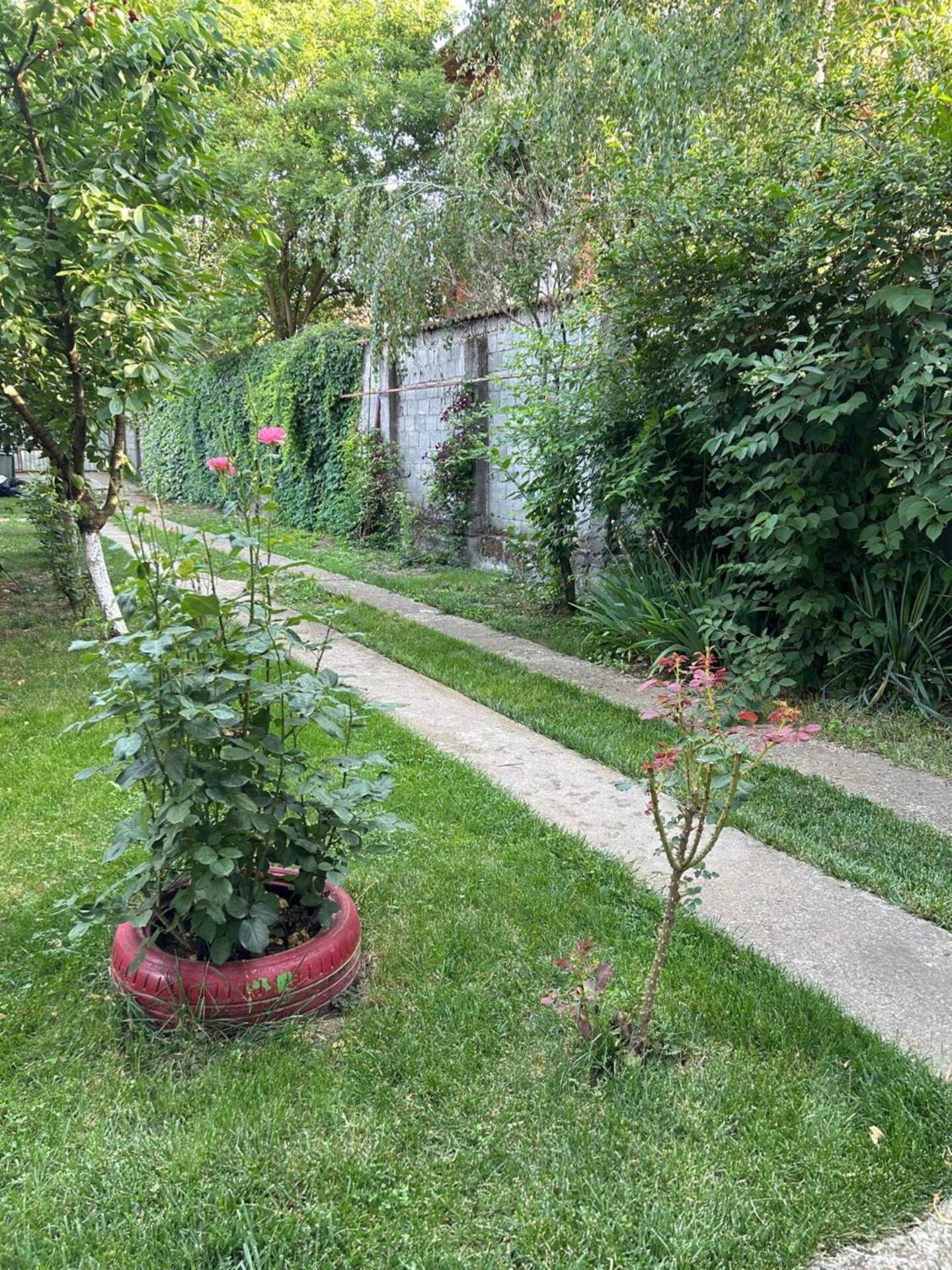 Vila De Inchiriat Aproape De Therme באלוטשטי מראה חיצוני תמונה